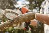 STIHL GTA 26 Cordless Garden Pruner Set