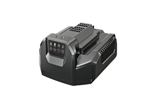 Ego 56v 210W Li-Ion Standard
Charger
